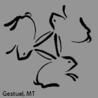 ddtim