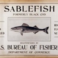 Sablefish