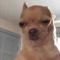 NotSoSuspiciousDog