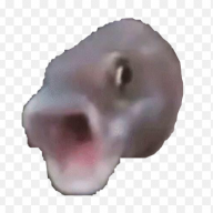Ninthfox