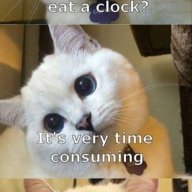 Nekolover321