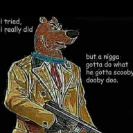 eli007