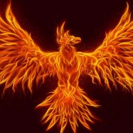 flamingeage11