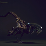 Arminwraith
