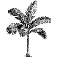 PalmTree Leather