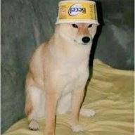 butterdog
