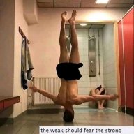 Jibberflex