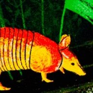 OnlineArmadillo