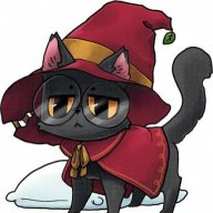 cat loving raven
