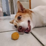 Niceface