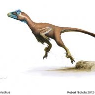 therapod