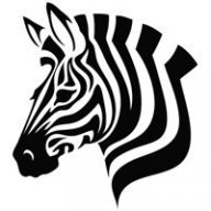 Tranquil Zebra