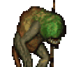 Troglodyte