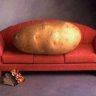bambache