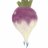 VenenmousTurnip