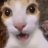 Runimaton