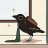 Dreamy_Crow