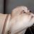 zuuupf