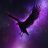 StellarRaven