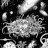Azathoth the dreamer