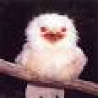 Birb Diary