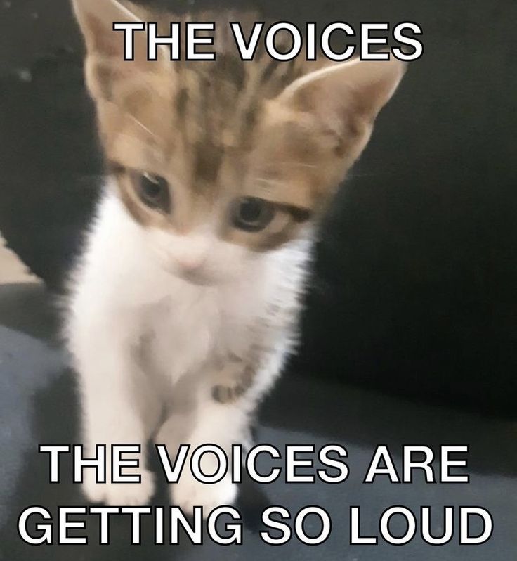 3a58f3d2e8674150fdaab1d056d399d0.jpg