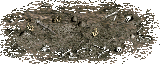 Cursed_Ground_%28h%29.gif