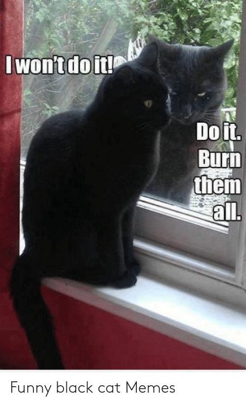cat-wont-do-do-burn-them-all-funny-black-cat-memes
