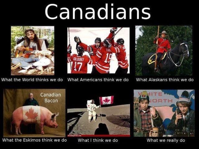 d6cfdd9634c46dd056b43af948ec4b71--canadian-humour-i-am-canadian.jpg