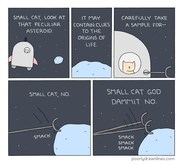 small-cat-and-the-asteroid.png