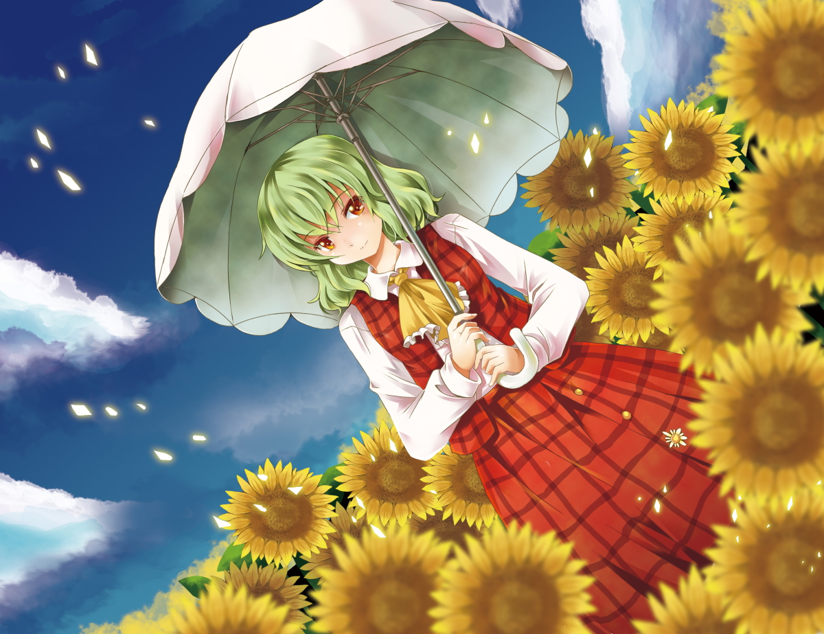 Yuuka_Kazami.jpg