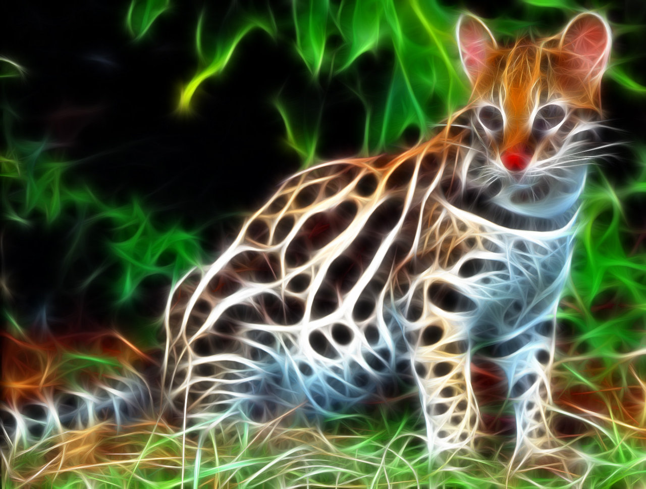 ocelot-wallpaper-13-756336.jpg