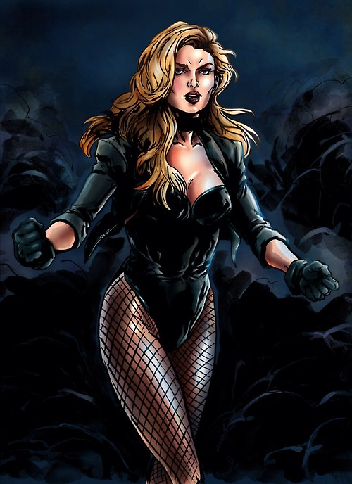 Black-Canary-black-canary-37745000-500-688.jpg