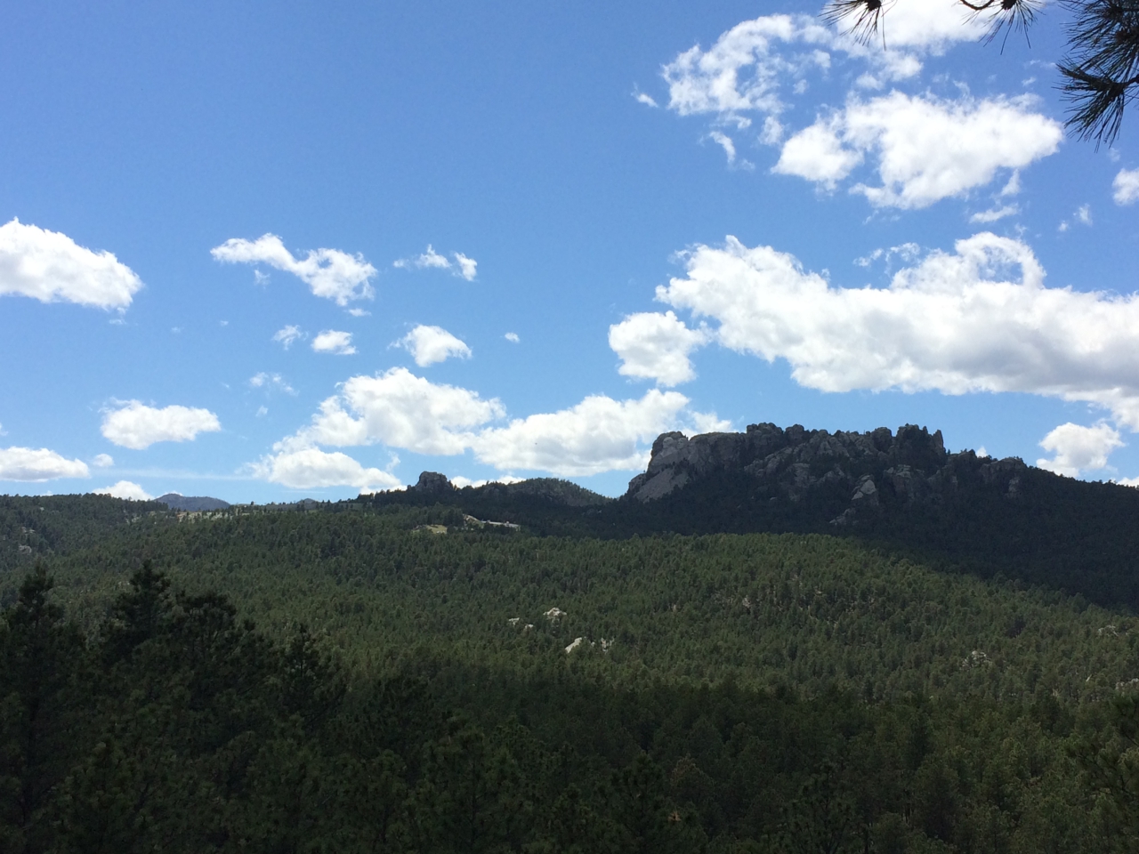 Black-Hills-20160603-15.jpg