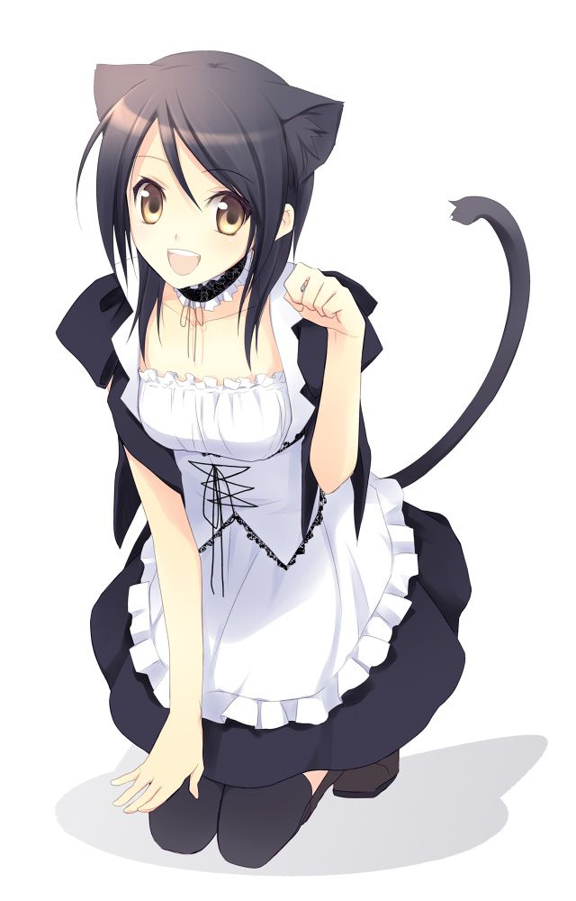 c6b190d74b2574ea9e6263b1d78c8e91--cute-cats-anime-maid.jpg