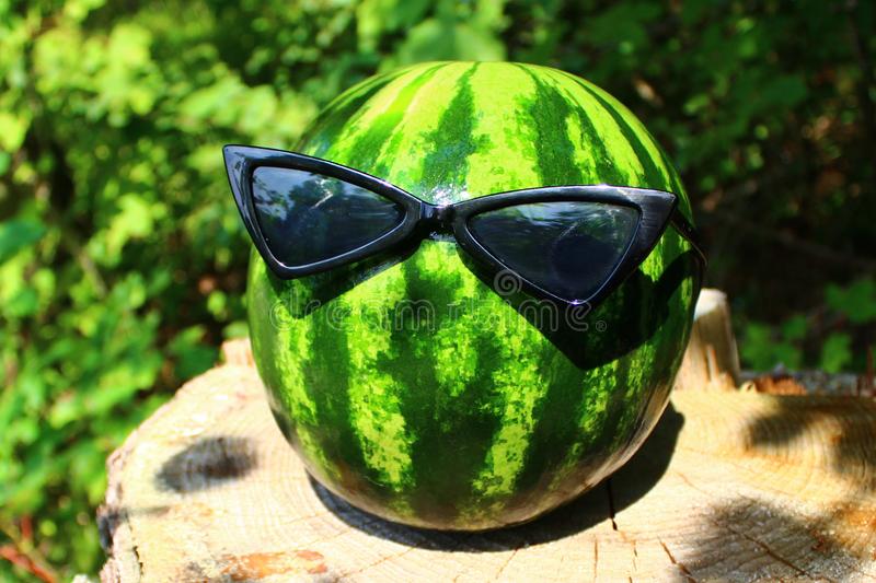 picture-shows-melon-sunglasses-melon-sunglasses-138062305.jpg